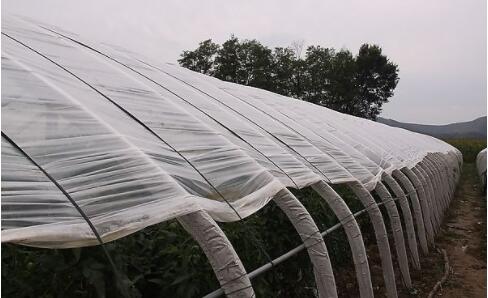 waterproof shade net