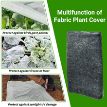Polypropylene Agriculture Nonwoven Black Non Woven Fabric for Plant Protect