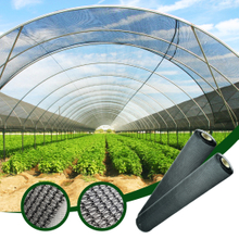 Customized Garden Black Shade Netting Anti UV for Backyards