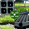 Factory Wholesale 15 To 288 Cell Seedling Tray Planting Grow tray