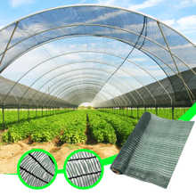 Agriculture Greenhouse Shade Net Tape Green Net for Vegetable 