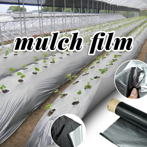 Garden Polyethylene Plastic Rolls Black Mulch Film for Agriculture