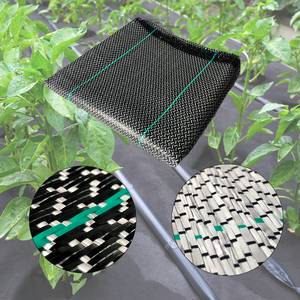Weed Block Fabric Black Plastic PP Ground Cover
