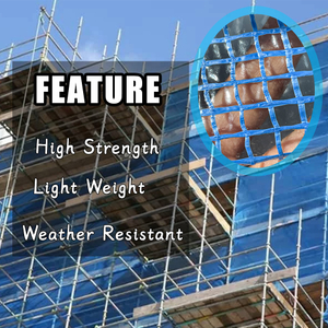 PE Scaffold Sheeting PE Scaffold Sheeting Leno Tarp Mesh Safety Scaffold Sheet