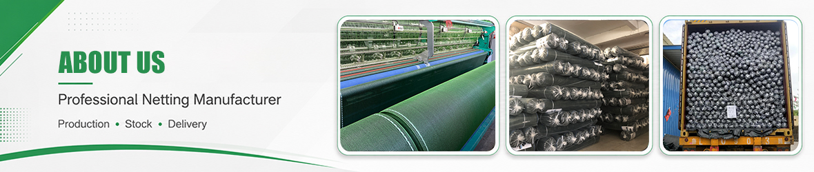 ANHUI SUGRAND TOP NETS CO.,LTD. Honor