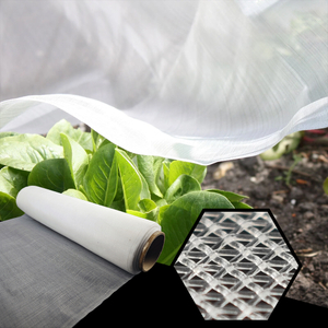 Hot Sale 70G Transparent Insect net for Fruit Trees