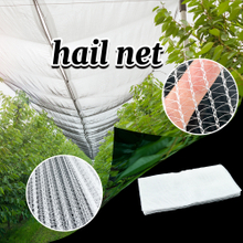 Factory Supply 100% Virgin HDPE Anti Hail Net White Hail Protection Net