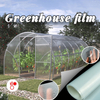 Agriculture 200 Micron Plastic Film And UV Protection Greenhouse Plastic Covering Film