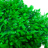 Garden Supplies Artificial Grass Wall Panels Plastic Greenery Plant Wall Grass 