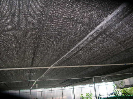 SN-003.jpg
